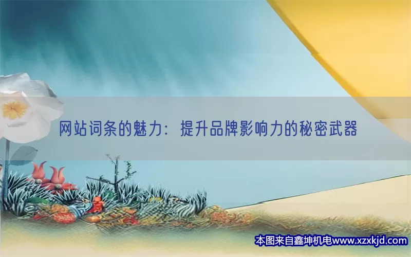 网站词条的魅力：提升品牌影响力的秘密武器(pic1)
