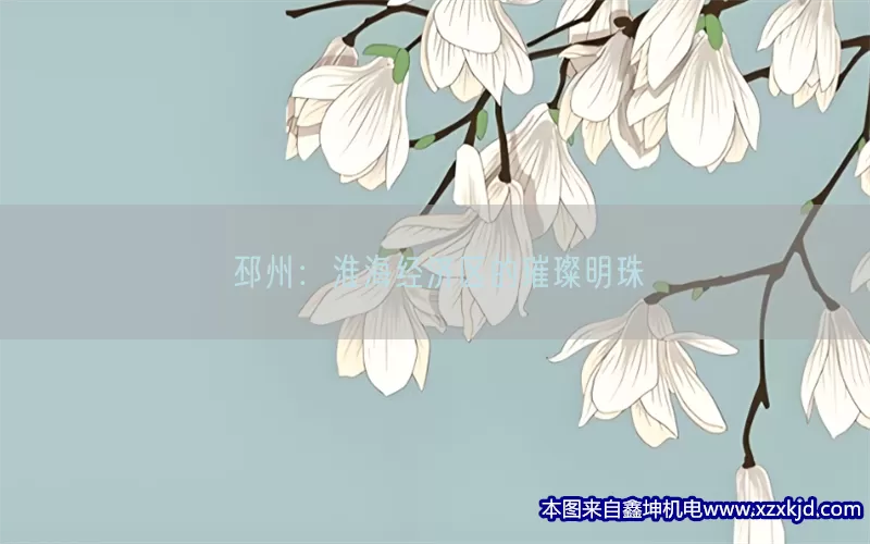 邳州：淮海经济区的璀璨明珠(pic1)