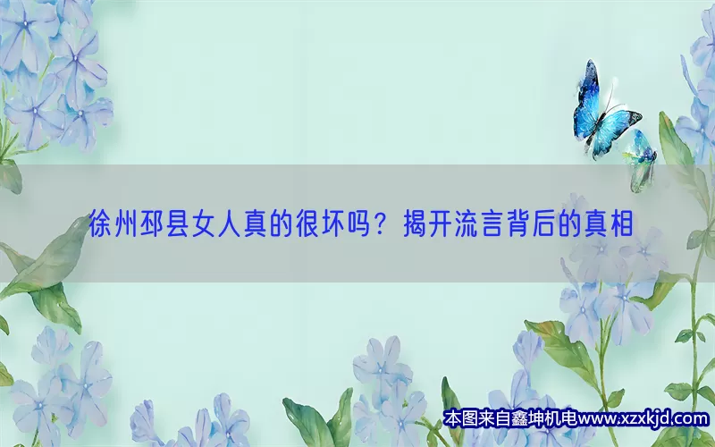 徐州邳县女人真的很坏吗？揭开流言背后的真相(pic1)
