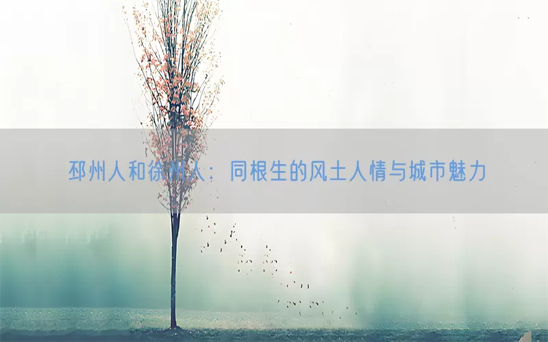 邳州人和徐州人:同根生的风土人情与城市魅力