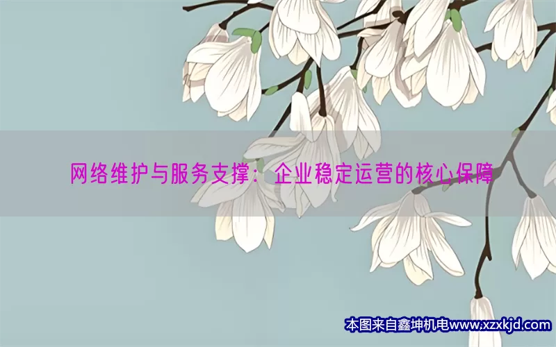 网络维护与服务支撑：企业稳定运营的核心保障(pic1)