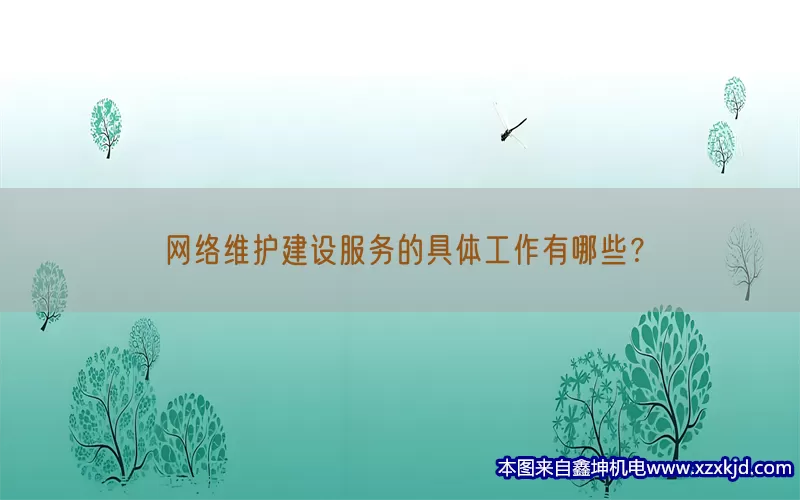 网络维护建设服务的具体工作有哪些？(pic1)
