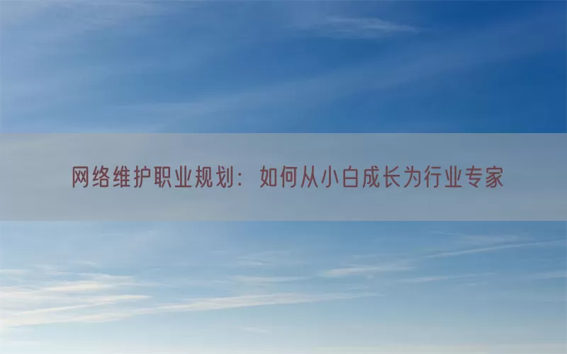 网络维护职业规划：如何从小白成长为行业专家