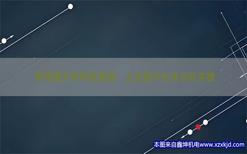 网络维护和网络管理：企业数字化成功的关键(pic1)