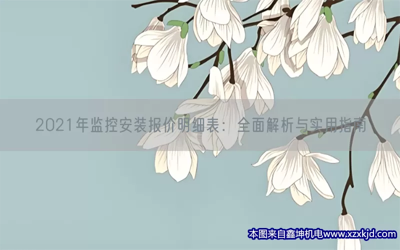2021年监控安装报价明细表：全面解析与实用指南(pic1)