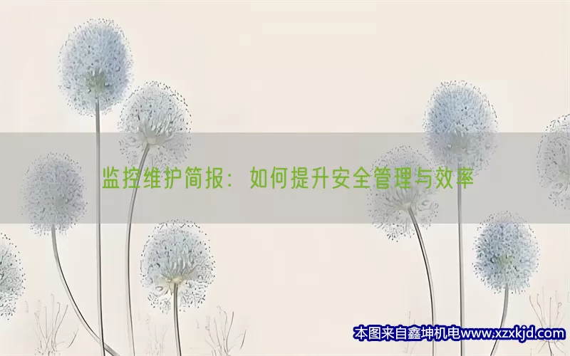 监控维护简报：如何提升安全管理与效率(pic1)