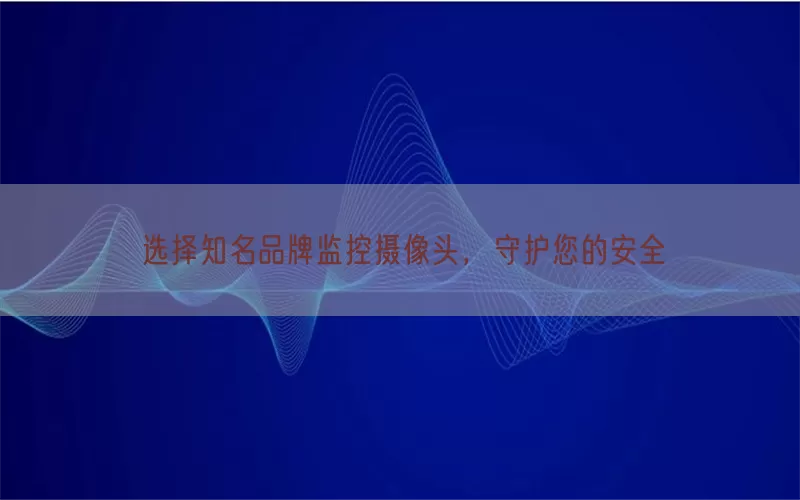 选择知名品牌监控摄像头，守护您的安全