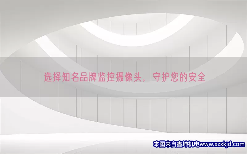 选择知名品牌监控摄像头，守护您的安全(pic1)
