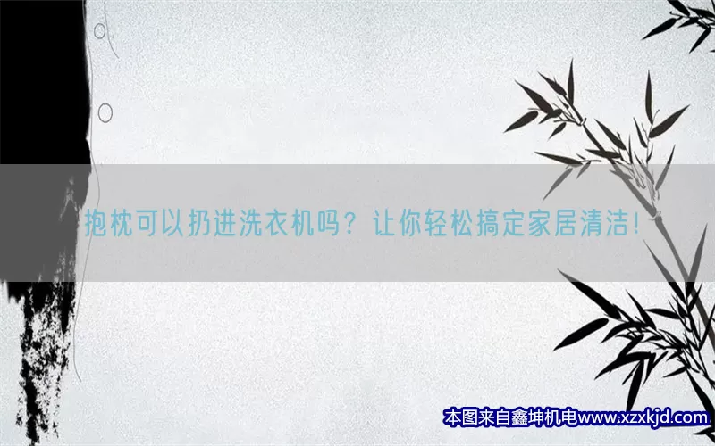 抱枕可以扔进洗衣机吗？让你轻松搞定家居清洁！(pic1)