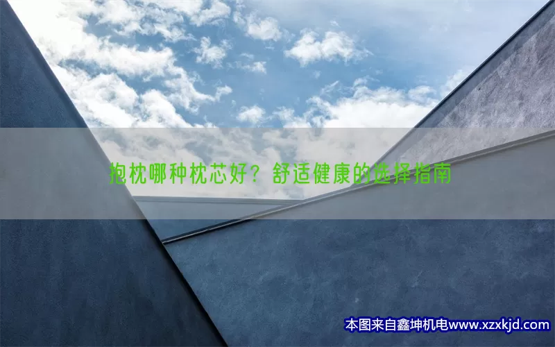 抱枕哪种枕芯好？舒适健康的选择指南(pic1)
