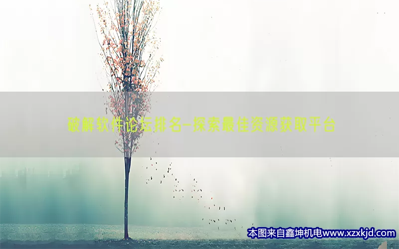 破解软件论坛排名-探索最佳资源获取平台(pic1)
