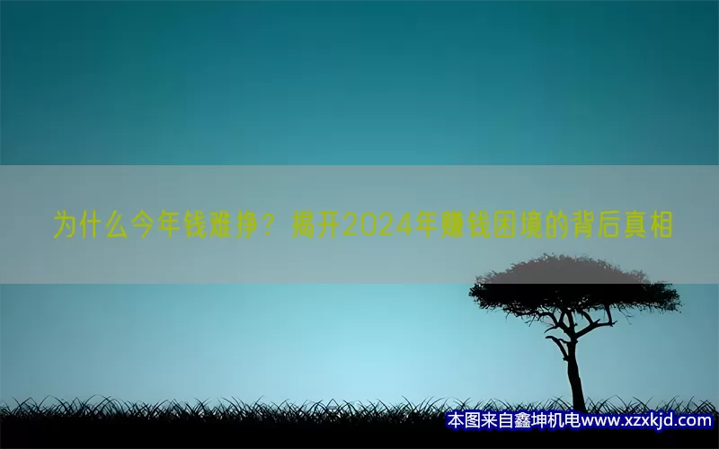 为什么今年钱难挣？揭开2024年赚钱困境的背后真相(pic1)
