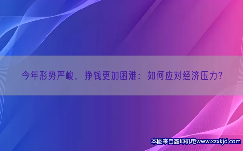 今年形势严峻，挣钱更加困难：如何应对经济压力？(pic1)