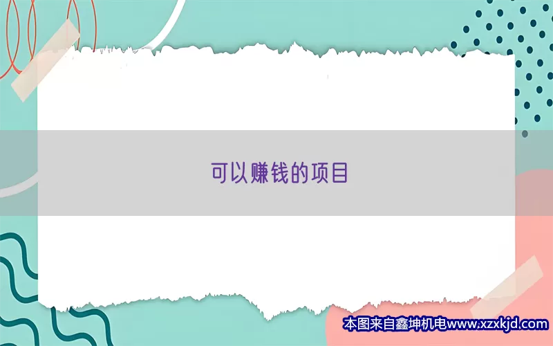 可以赚钱的项目(pic1)
