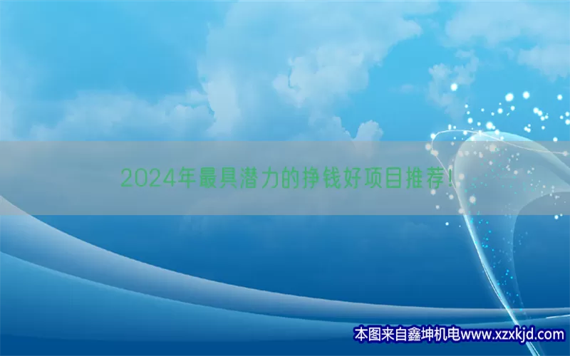 2024年最具潜力的挣钱好项目推荐！(pic1)