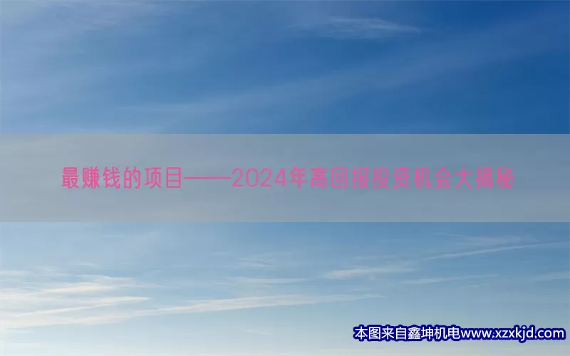 最赚钱的项目——2024年高回报投资机会大揭秘(pic1)