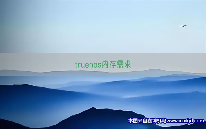 truenas内存需求(pic1)