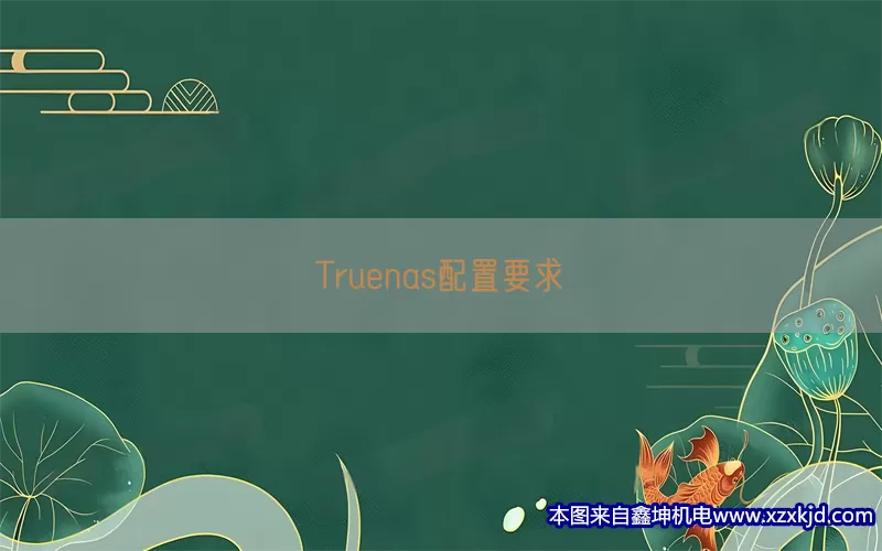 Truenas配置要求(pic1)