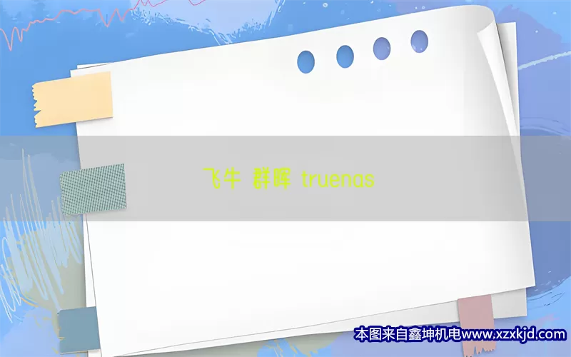 飞牛 群晖 truenas(pic1)