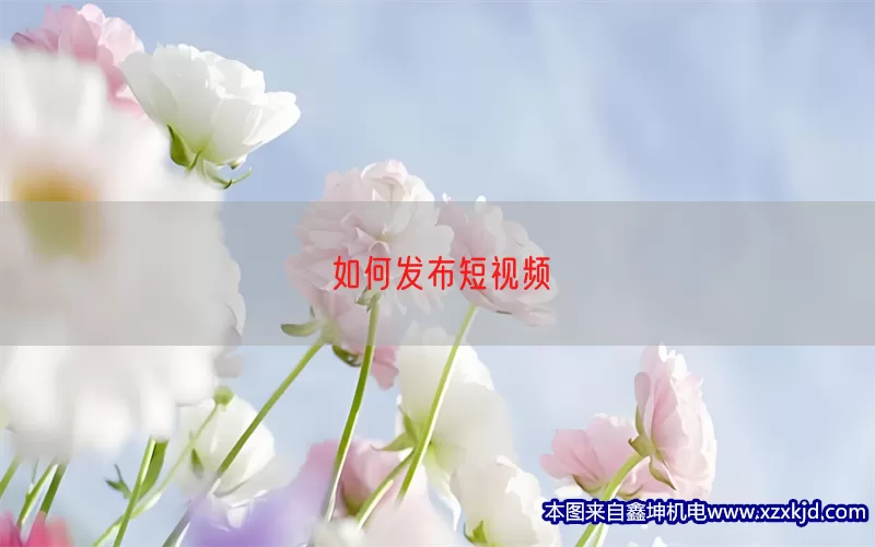 如何发布短视频(pic1)