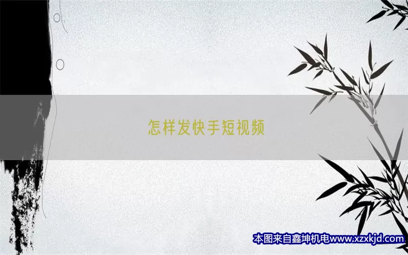 怎样发快手短视频(pic1)