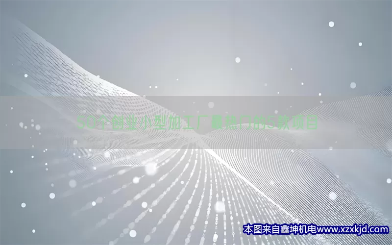 50个创业小型加工厂最热门的5款项目(pic1)