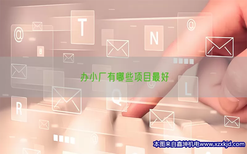 办小厂有哪些项目最好(pic1)
