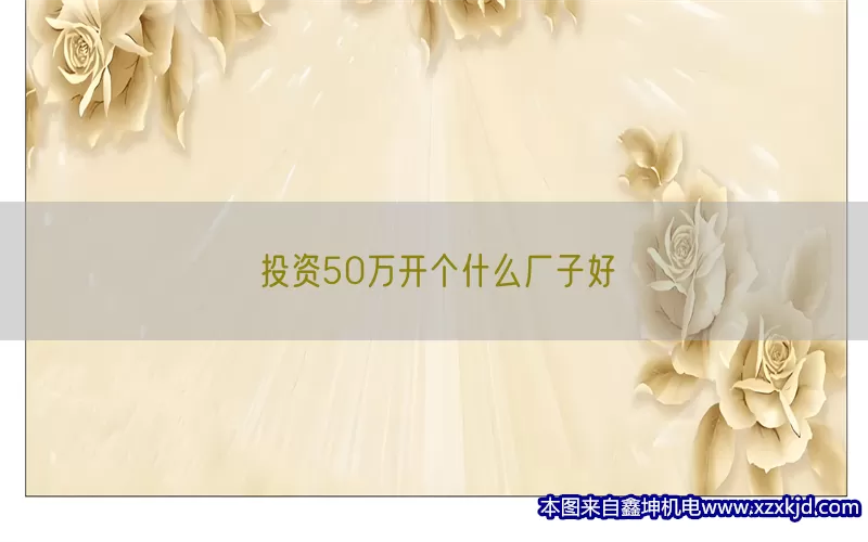 投资50万开个什么厂子好(pic1)
