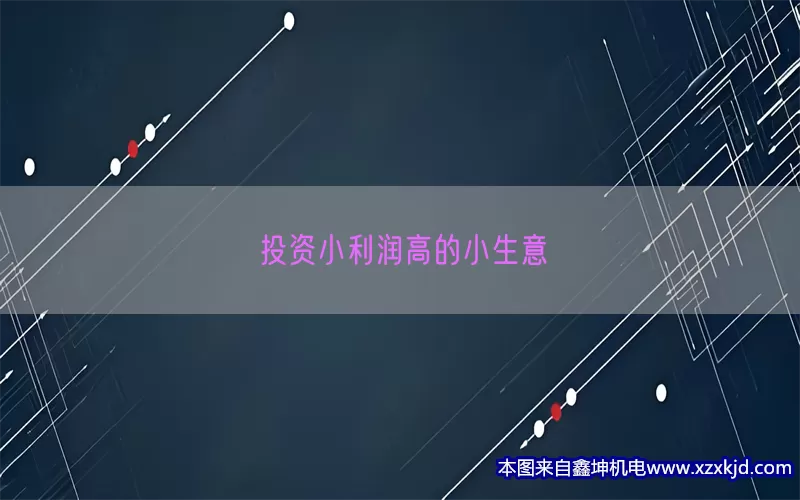 投资小利润高的小生意(pic1)