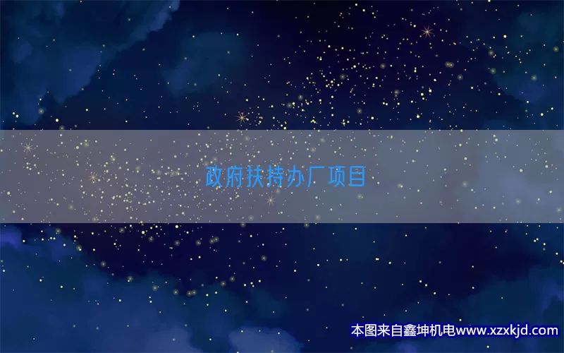 政府扶持办厂项目(pic1)