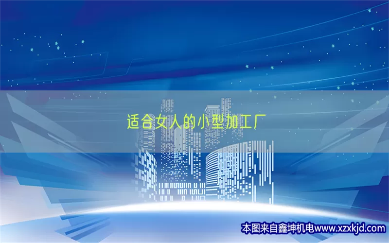 适合女人的小型加工厂(pic1)