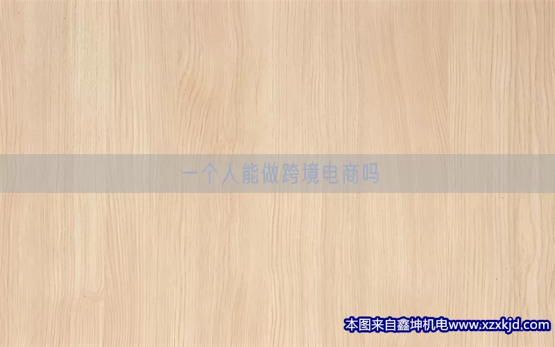 一个人能做跨境电商吗(pic1)