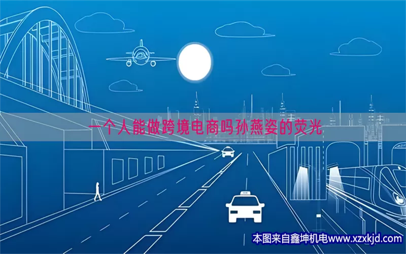 一个人能做跨境电商吗孙燕姿的荧光(pic1)