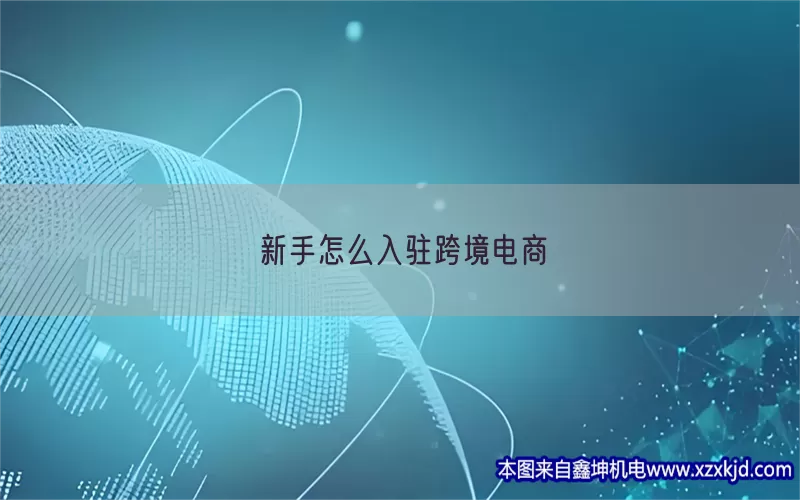新手怎么入驻跨境电商(pic1)