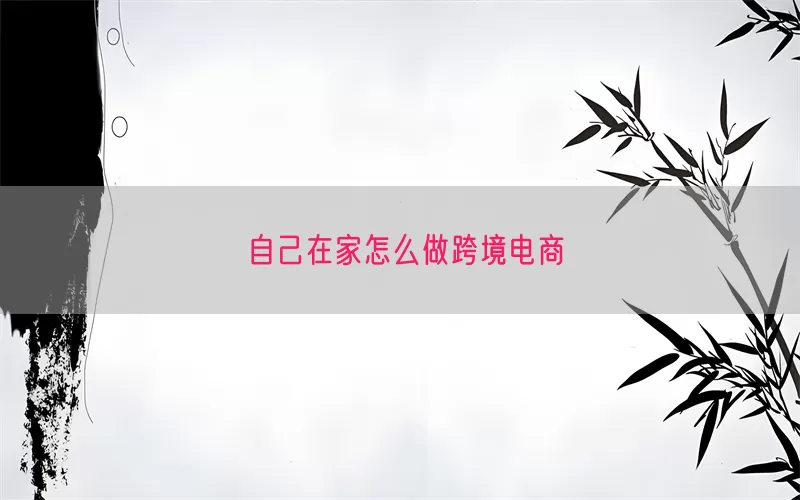自己在家怎么做跨境电商