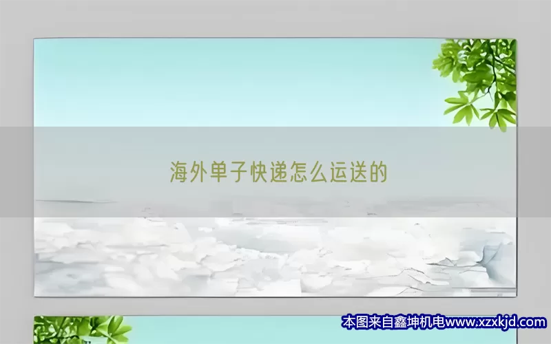 海外单子快递怎么运送的(pic1)