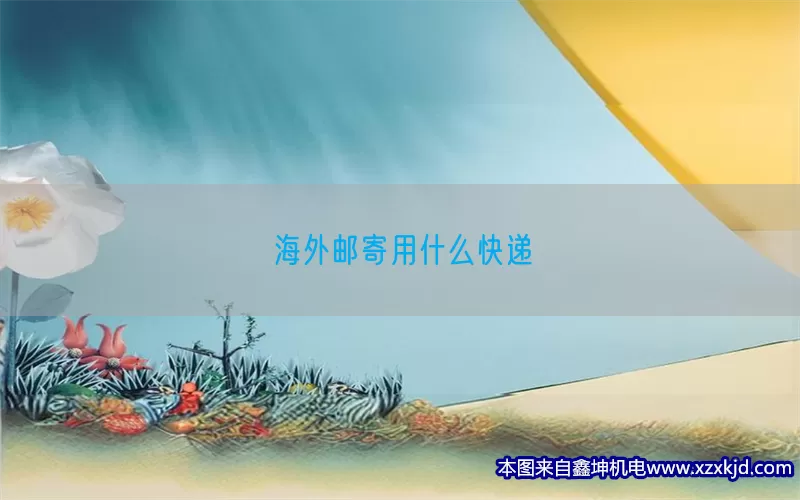 海外邮寄用什么快递(pic1)