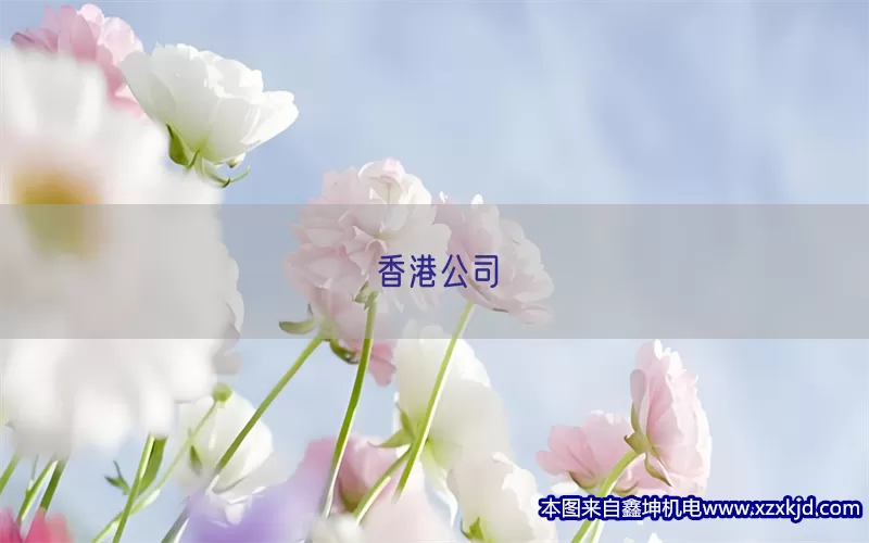 香港公司(pic1)