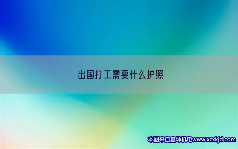 出国打工需要什么护照(pic1)