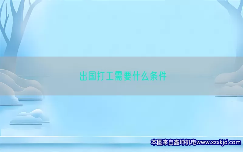 出国打工需要什么条件(pic1)