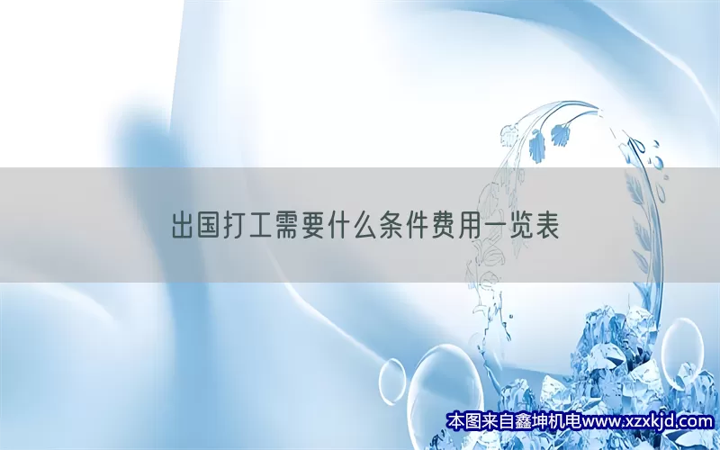 出国打工需要什么条件费用一览表(pic1)