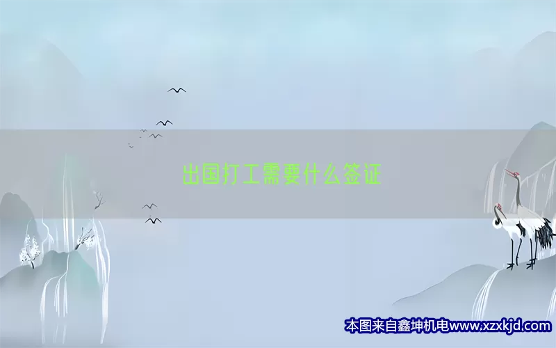 出国打工需要什么签证(pic1)