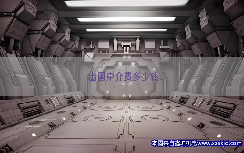 出国中介费多少钱(pic1)