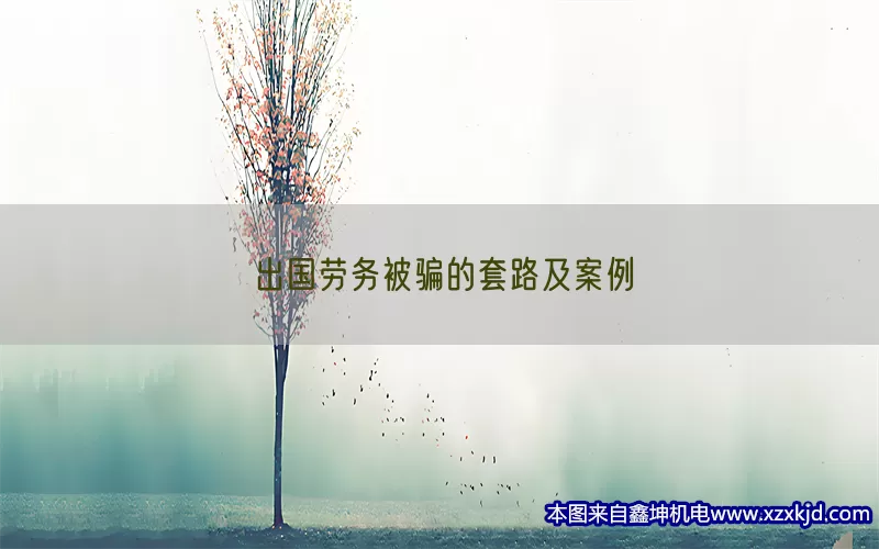 出国劳务被骗的套路及案例(pic1)