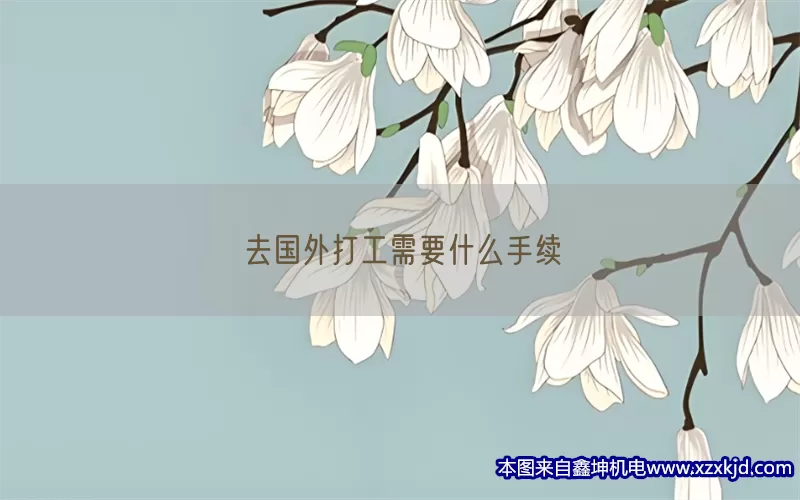去国外打工需要什么手续(pic1)