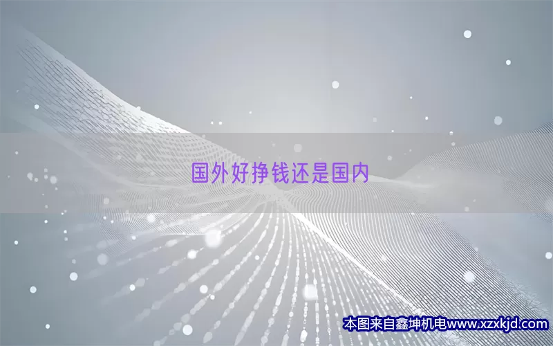 国外好挣钱还是国内(pic1)