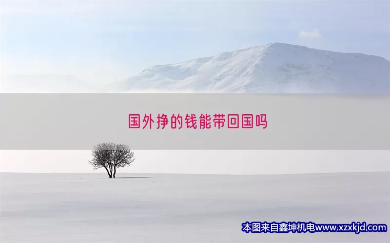 国外挣的钱能带回国吗(pic1)