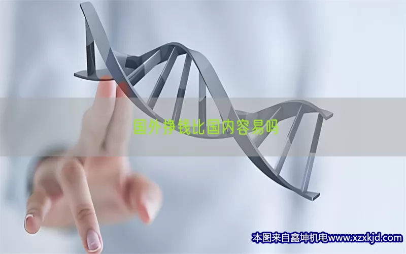 国外挣钱比国内容易吗(pic1)