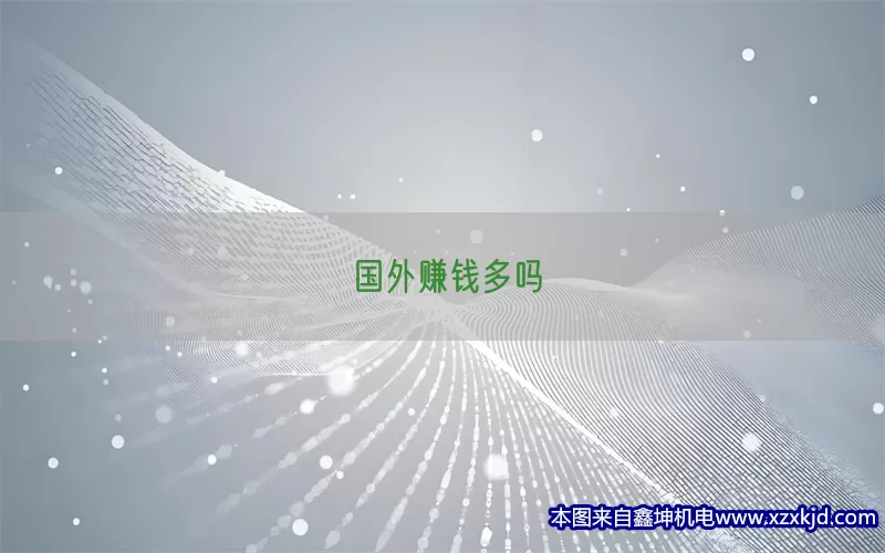 国外赚钱多吗(pic1)