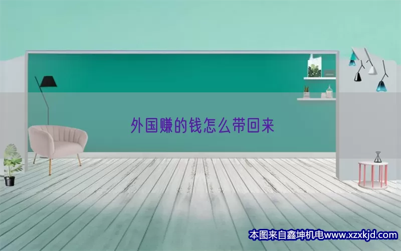 外国赚的钱怎么带回来(pic1)